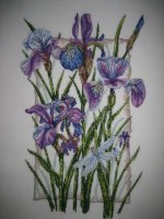IMG_3300.jpg