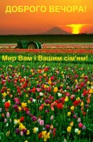image1R687MZD.jpg