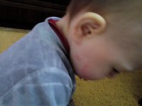IMG_20160426_125151.jpg