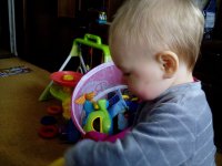 IMG_20160426_125207.jpg