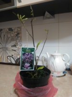 IMG_20160427_220533.jpg