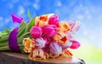Tulips-flowers-34015251-1440-900.jpg