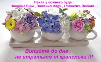 imageYXVTVYUQ.jpg