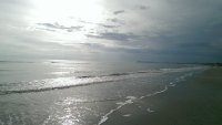 IMAG3782.jpg