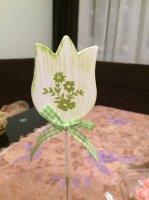 IMG_0064.jpg