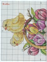 pasha--350x458.jpg