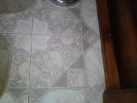 IMG_20150227_145700.jpg