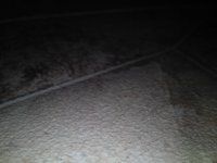 IMG_20150227_145721.jpg