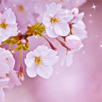 84400062_preview_vesna201.gif