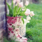 image_10904132100451229044.gif