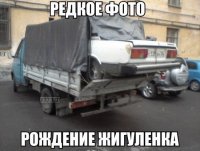 кумедні фото.jpg