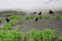 IMG_3392.jpg