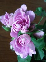 20160525_141112.jpg