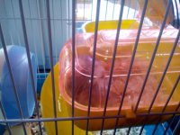 IMG_20160222_121849.jpg