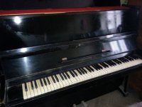 20160513_150637.jpg