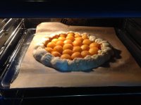 image.jpeg