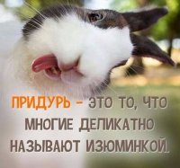 IMG_20160602_182248_41.jpg