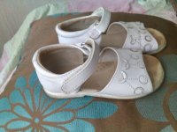 IMG_20160604_125225.jpg