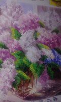 20160605_080939.jpg