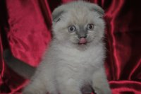 DSC_0010.JPG