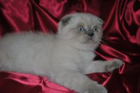 DSC_0016.JPG