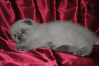 DSC_0019.JPG