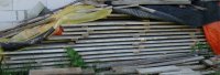 DSC08798.JPG