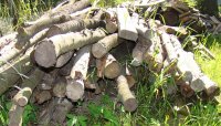 DSC08809.JPG