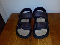 IMG_20160626_083733.jpg