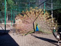 IMG_20160528_080818.jpg