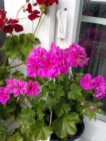 20160628_175056.jpg