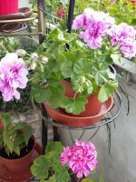20160628_175125.jpg