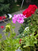 20160628_175137.jpg