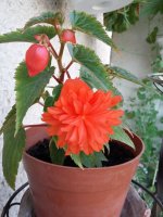 20160622_103609.jpg