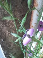 20160629_204445.jpg
