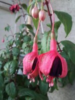 20160629_204456.jpg