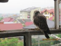 Изображение 025.jpg
