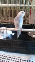 20160628_114957.jpg