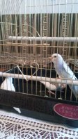20160628_114846.jpg