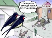 imageHP09AN0W.jpg