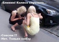 FB_IMG_1469449560729.jpg