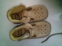 WP_20160718_008.jpg
