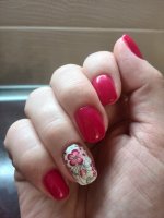 IMG_20160803_212530.jpg