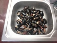 IMG_20160805_173258.jpg