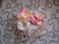 DSC08324.JPG