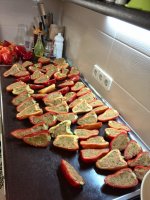 IMG_20160811_001552.jpg