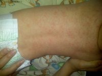 IMG-20160814-03605.jpg