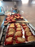 IMG_20151007_220811.jpg
