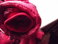 DSCF4354.JPG