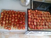 IMG_20160820_102959.jpg